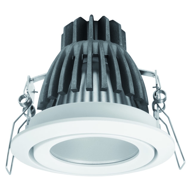 Карданный светильник Kanlux Dago Power Led DLP-10 8900