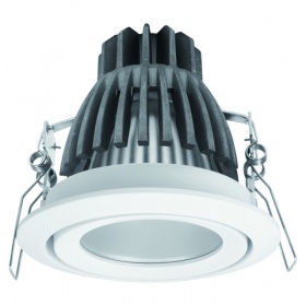 Карданный светильник Kanlux Dago Power Led DLP-10 8900