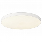 Потолочный светильник Simple Story 1204-LED48CL