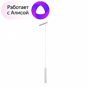 Трековый светильник Denkirs Smart DK8008-WH