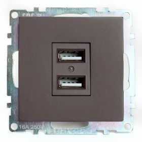 Розетка USB 2-местная Stekker Катрин GLS10-7115-04 49027