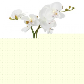 Настольная лампа Globo Flowerpower 28002