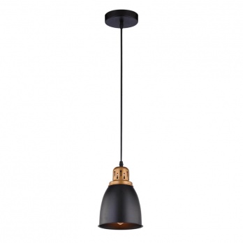 Подвесной светильник Arte Lamp Eurica A4248SP-1BK