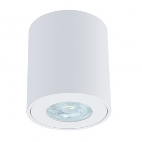 Накладной светильники Arte Lamp Tino A1469PL-1WH