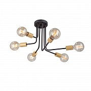 Потолочная люстра Vitaluce V4957-1/6PL