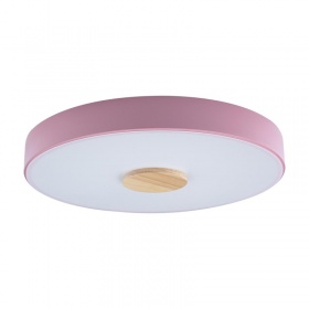 Потолочный светильник Loft IT AXEL 10003/24 Pink
