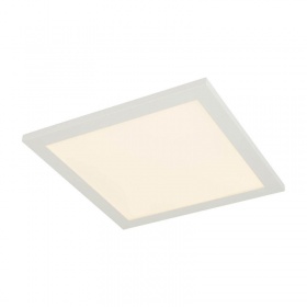 Потолочный светодиодный светильник Globo Rosi 41604D1