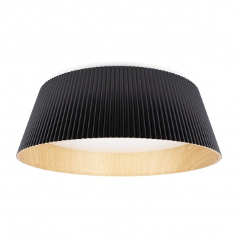 Потолочный светильник Loft IT Evans 10224 Black