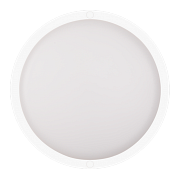 Настенно-потолочный светильник Ritter 56034 0