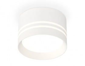 Потолочный светильник Ambrella Light Techno Spot XS8101021 (C8101, N8477)