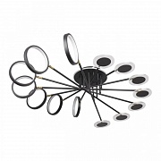 Потолочный светильник Loft IT Megan 10164L Black