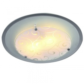 Потолочный светильник Arte Lamp A4806PL-2CC