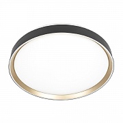 Потолочный светильник Citilux Boss CL751451G