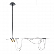 Подвесной светильник Arte Lamp Klimt A2850SP-45BK