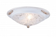 Потолочный светильник Maytoni Diametrik C907-CL-02-W