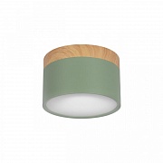 Накладной светильник Loft IT Grape 10162 Green