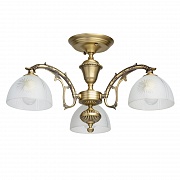 Потолочная люстра MW-Light Ариадна 450011503