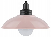 Настенный светильник Эра NLED-487-1W-SW-P Б0051477