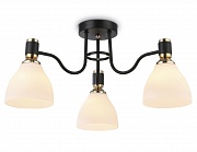 Потолочная люстра Ambrella Light Modern TR303303