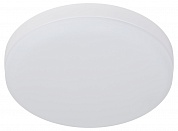 Настенно-потолочный светильник Эра LED 15-36-6K Б0054337