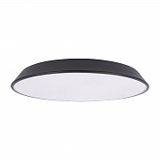 Потолочный светильник Loft IT Brim 10226 Black