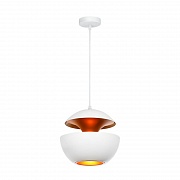 Подвесной светильник Loft IT LOFT2213-A