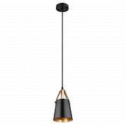 Подвесной светильник Arte Lamp Thomas A7032SP-1BK