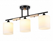 Люстра на штанге Ambrella Light Modern TR9551